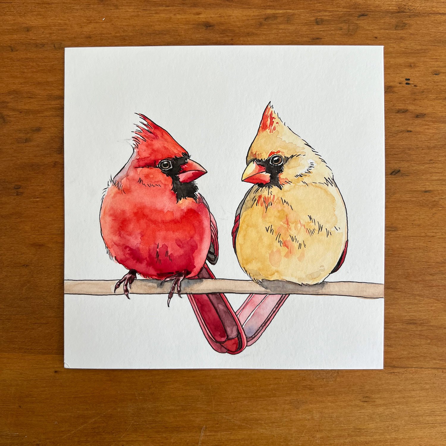 Cardinal-Couple.jpg