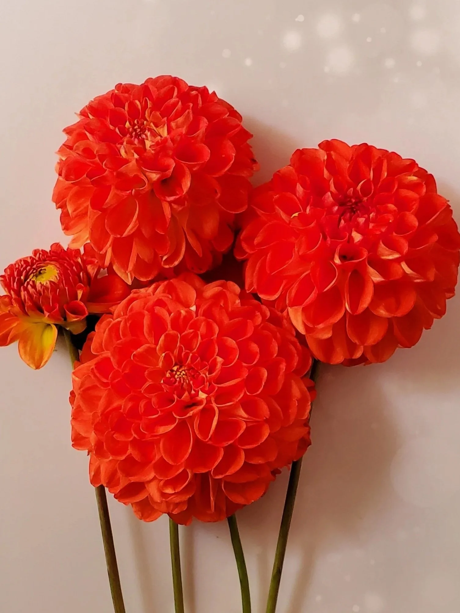 20240908_175914.jpg