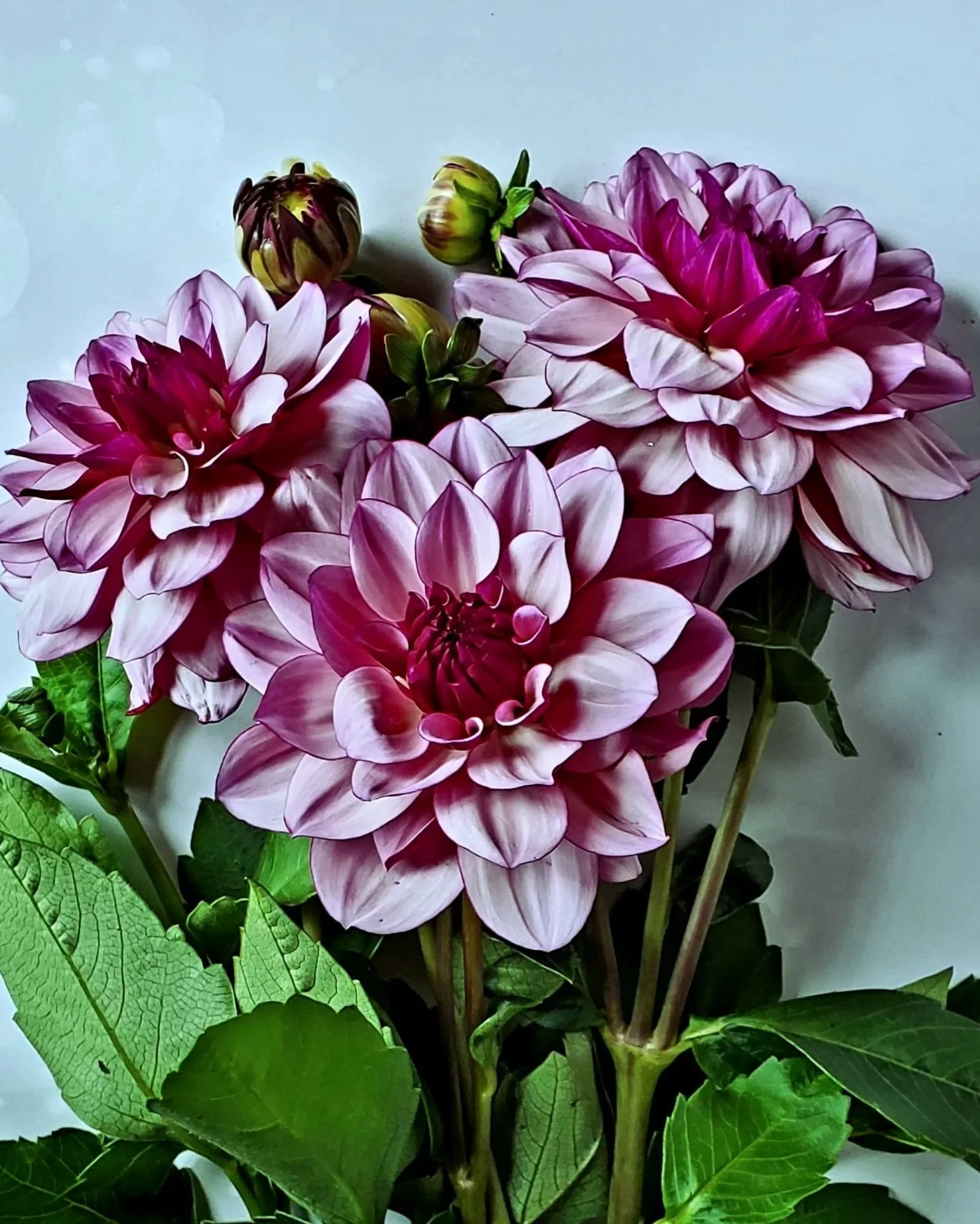 20240909_111910.jpg