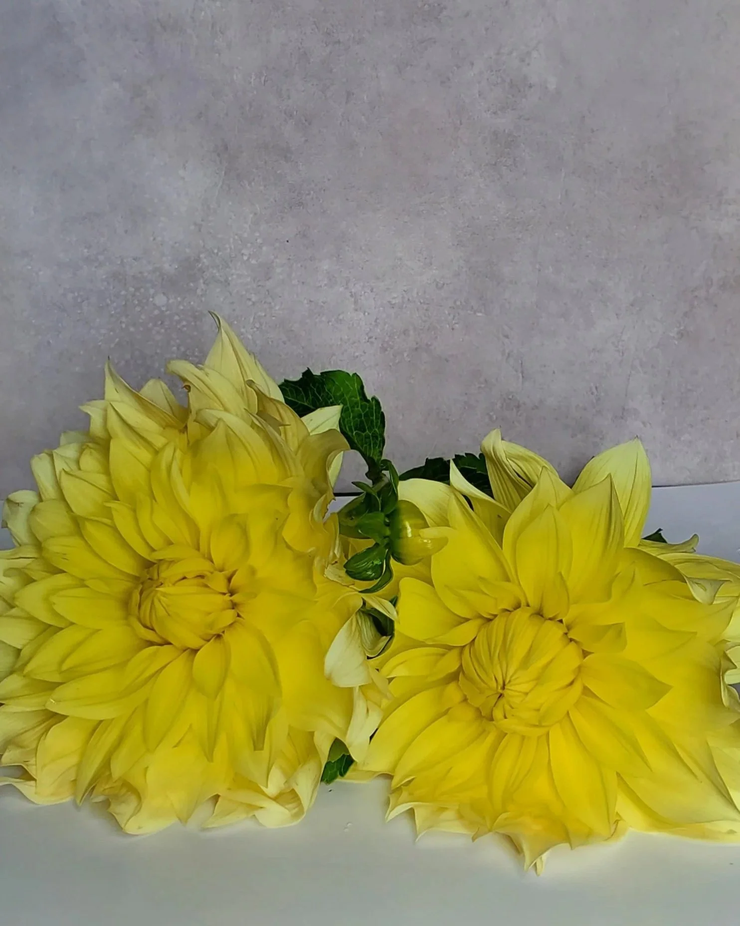 20240908_155725.jpg