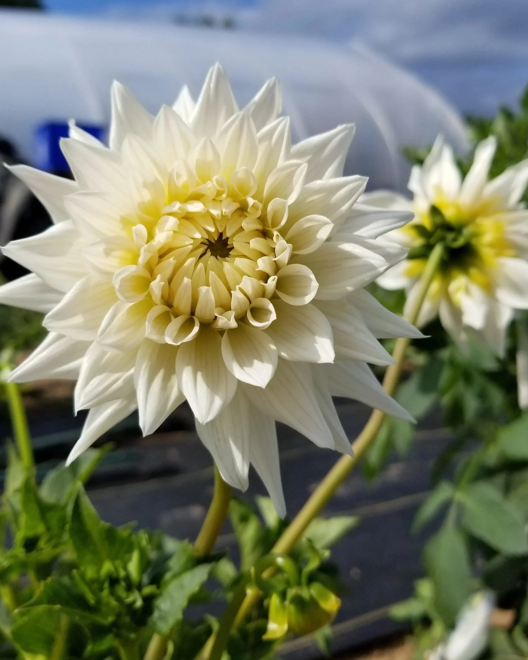 20180721_100229.jpg