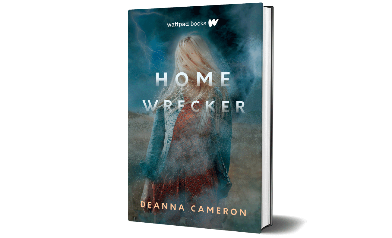 Homewrecker~Written by Deanna Cameron