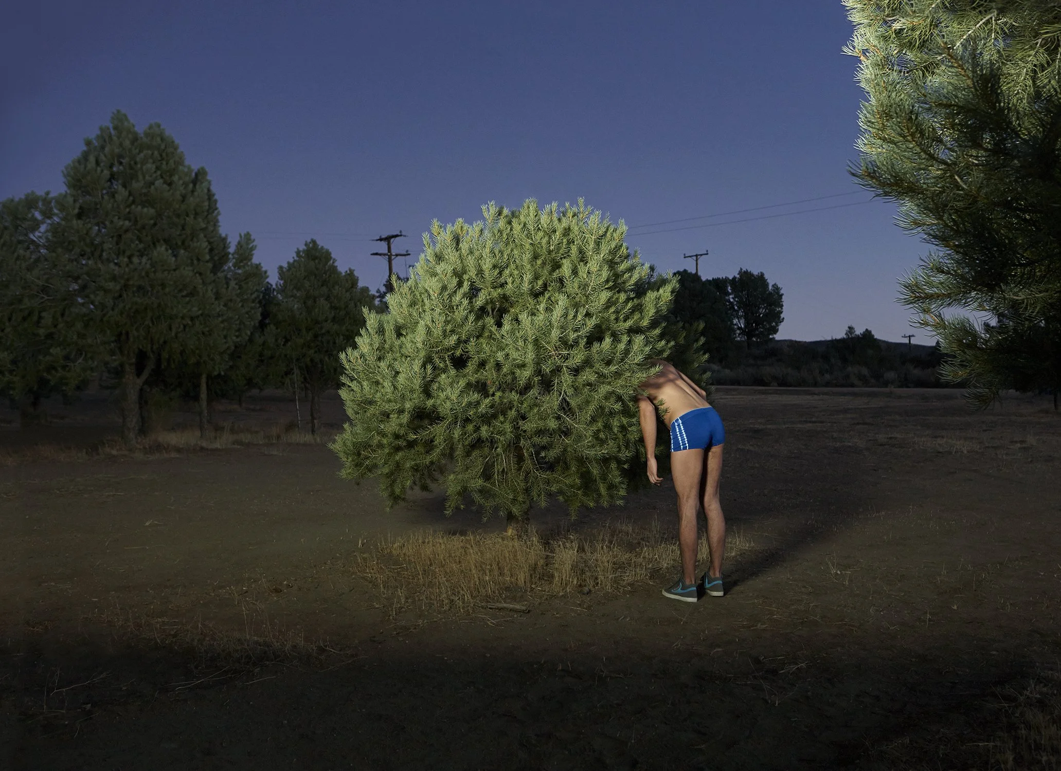 What Are You Looking For? (Diesel)