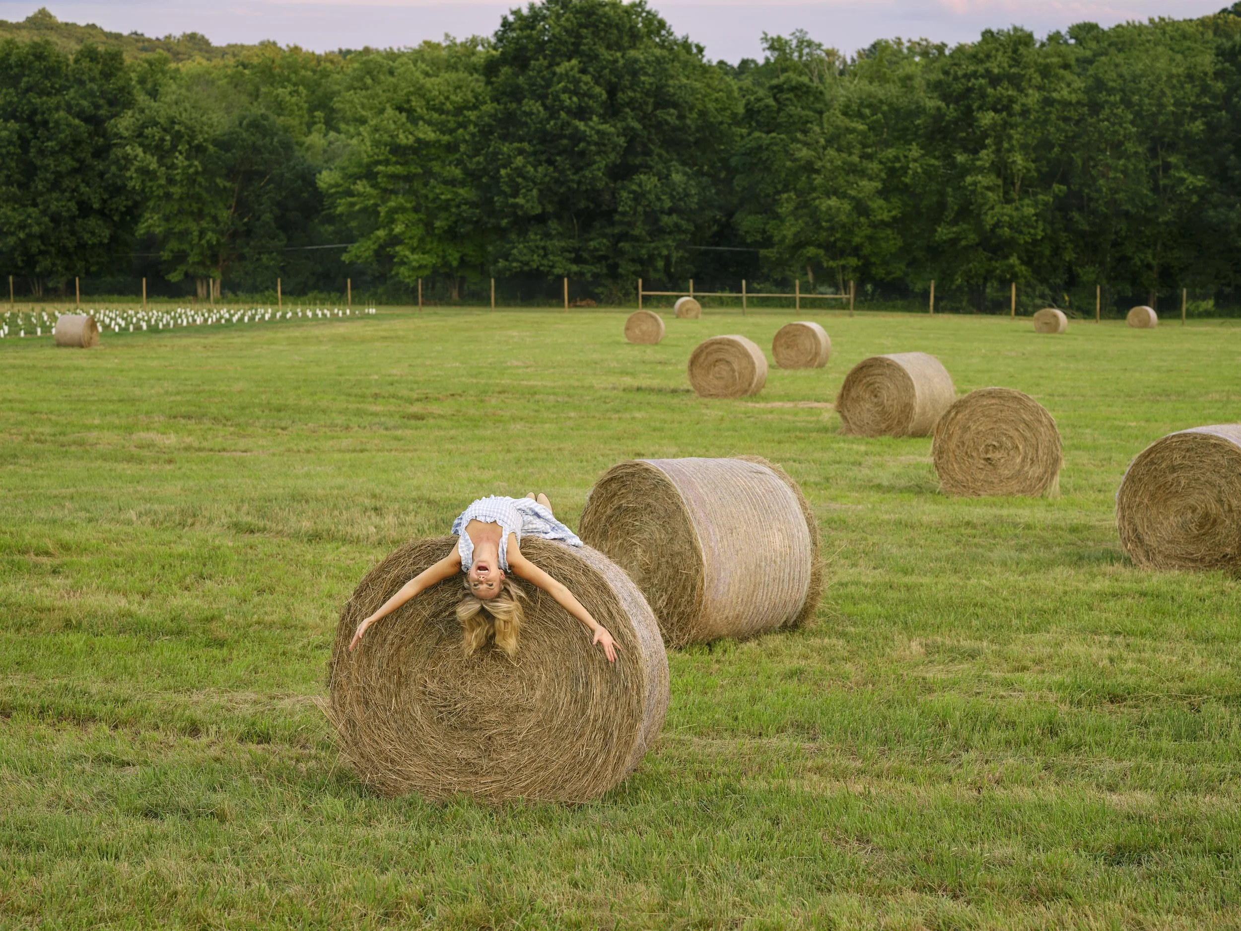 Farmer's Daughter (Laura Bell Bundy)