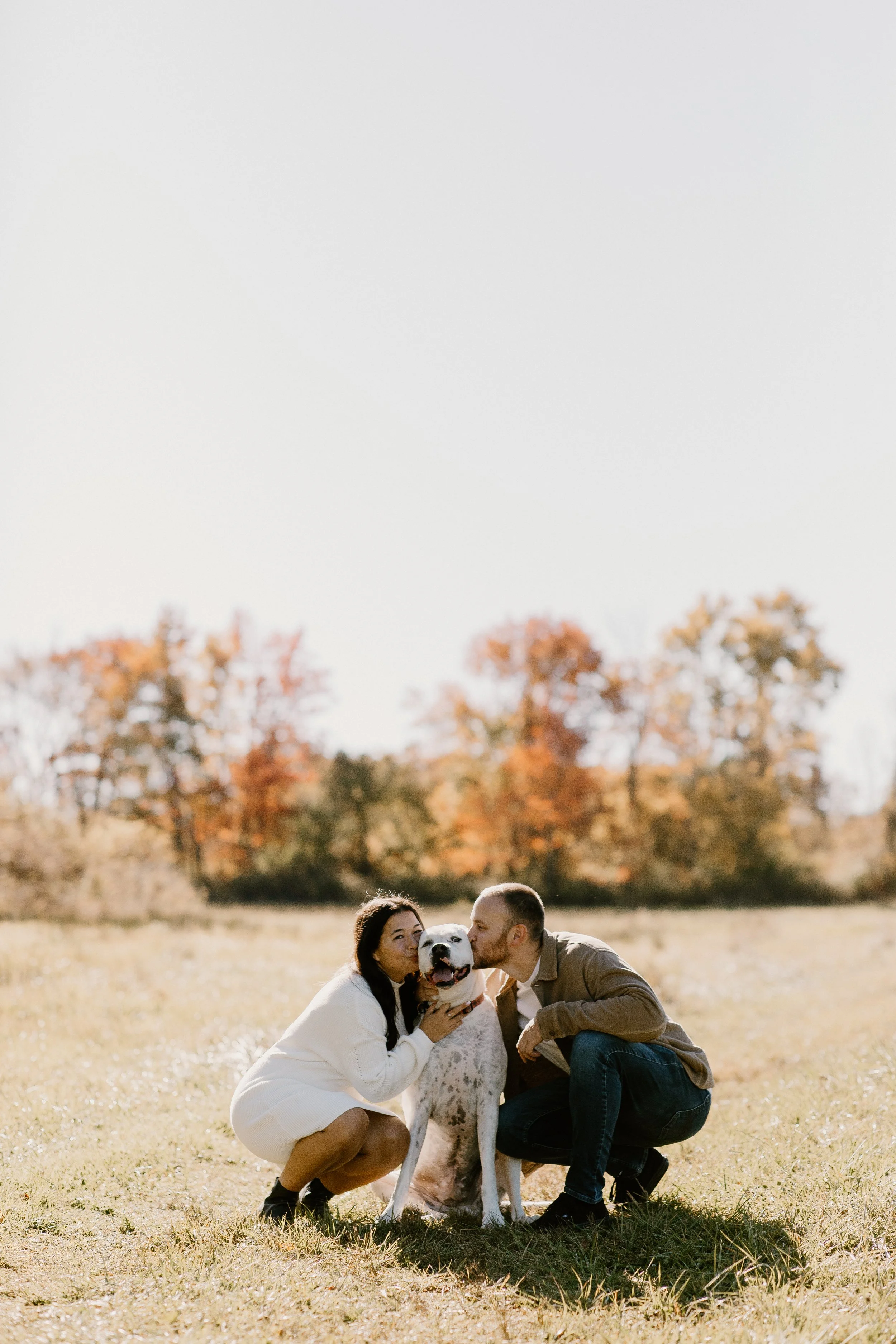 A couple and their large dog at a park in North Salem NY for their engagement photos