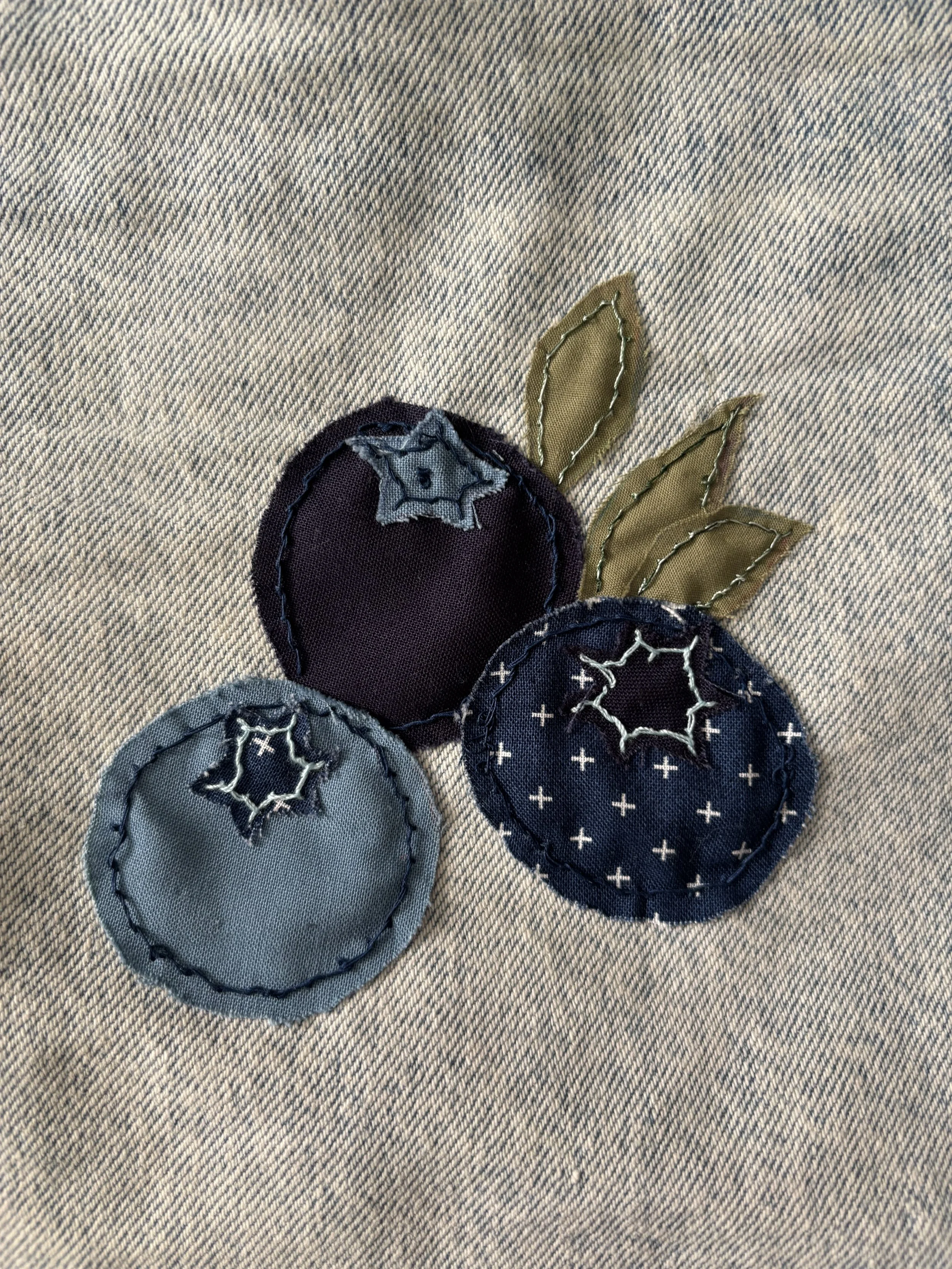 close up detail of blueberry patch