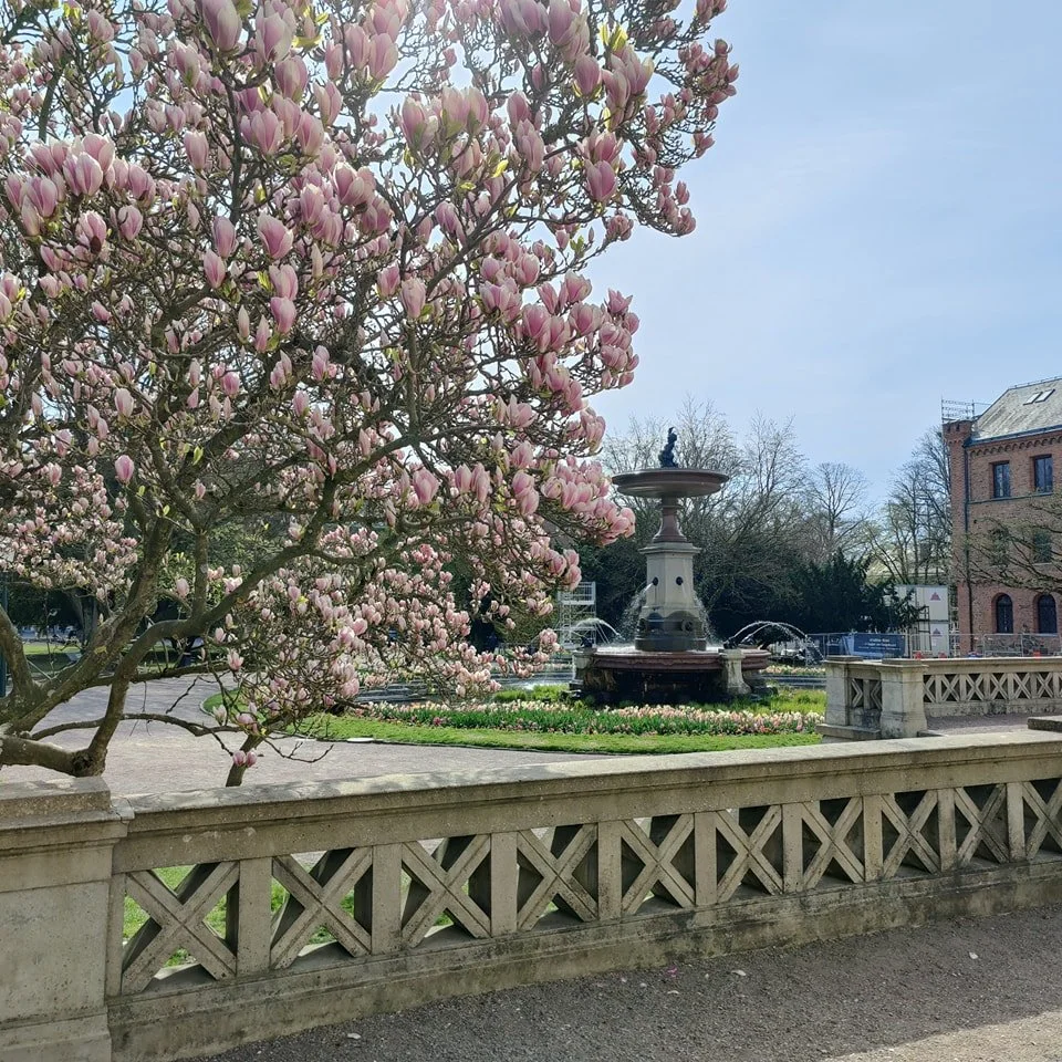 Ett av de s&auml;kraste v&aring;rtecknen &auml;r v&aring;r s&auml;ndning av Lunds Students&aring;ngare i SVT1 18:15. I &aring;r den 12:e upplagan i v&aring;r regi! V&auml;l m&ouml;tt i rutan och glad v&aring;r! 🌞🌻I samarbete med #colibricontent