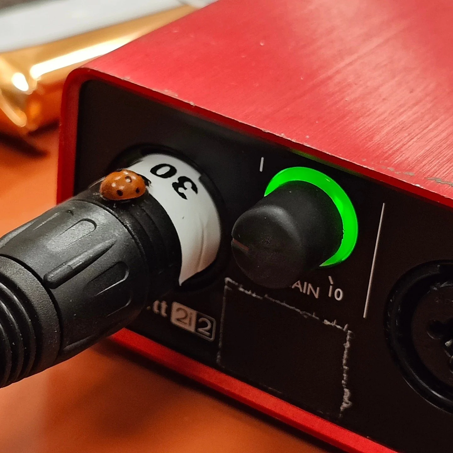 A small friend is visiting us for the Council meeting! 😊