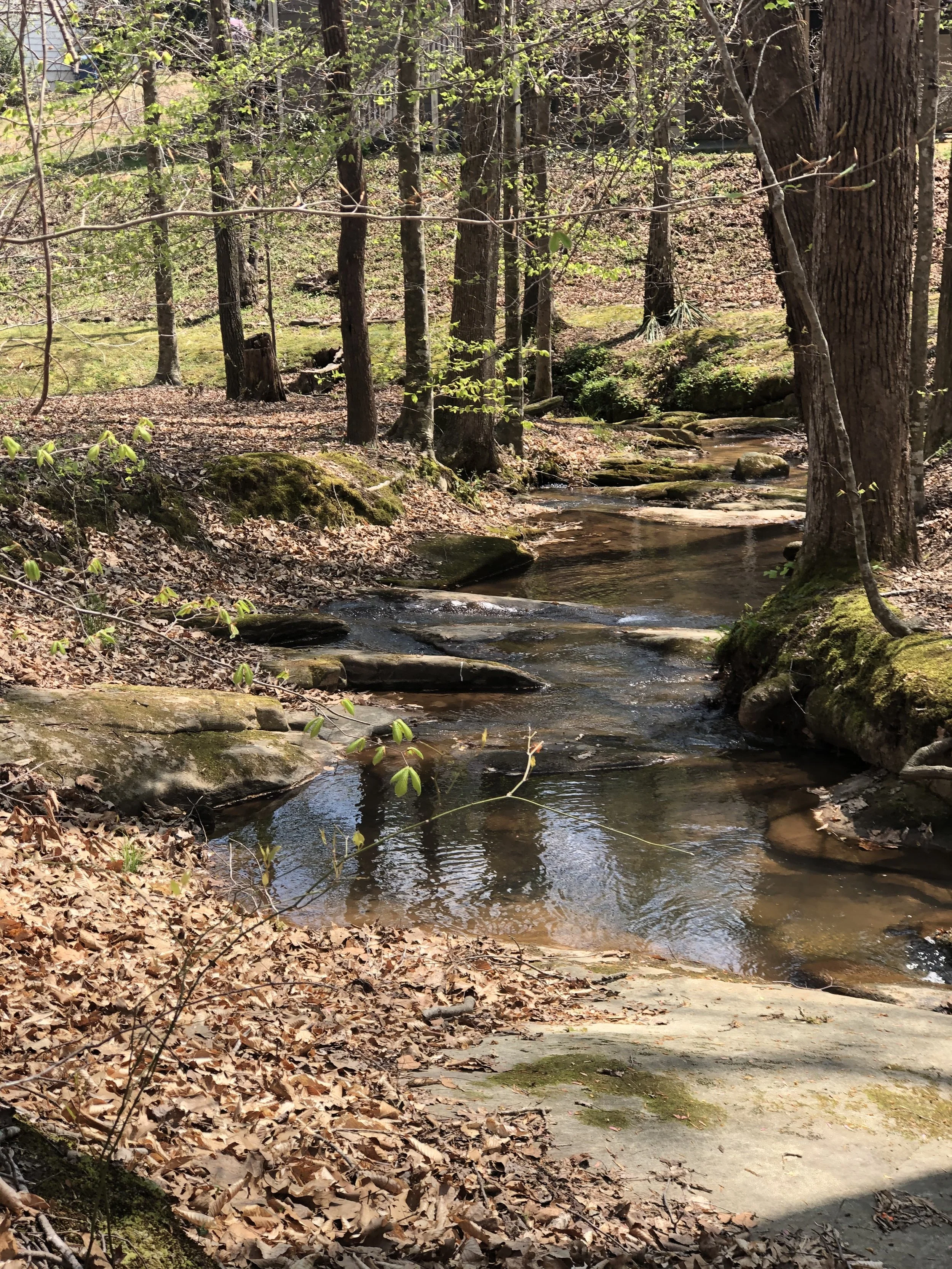 Creek Photo2.jpg