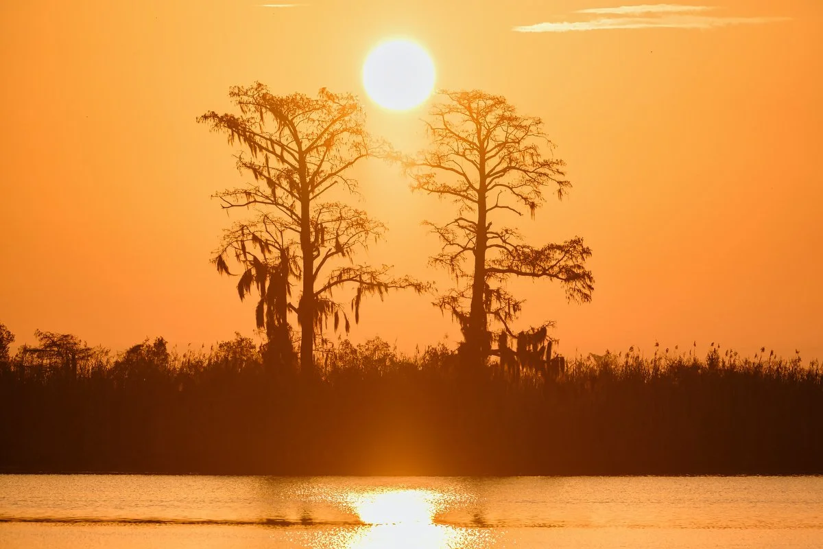 001 lower delta 121421.JPG