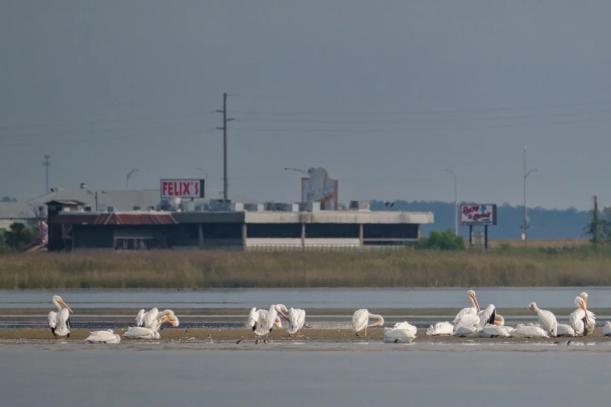 013 lower delta 121421.JPG