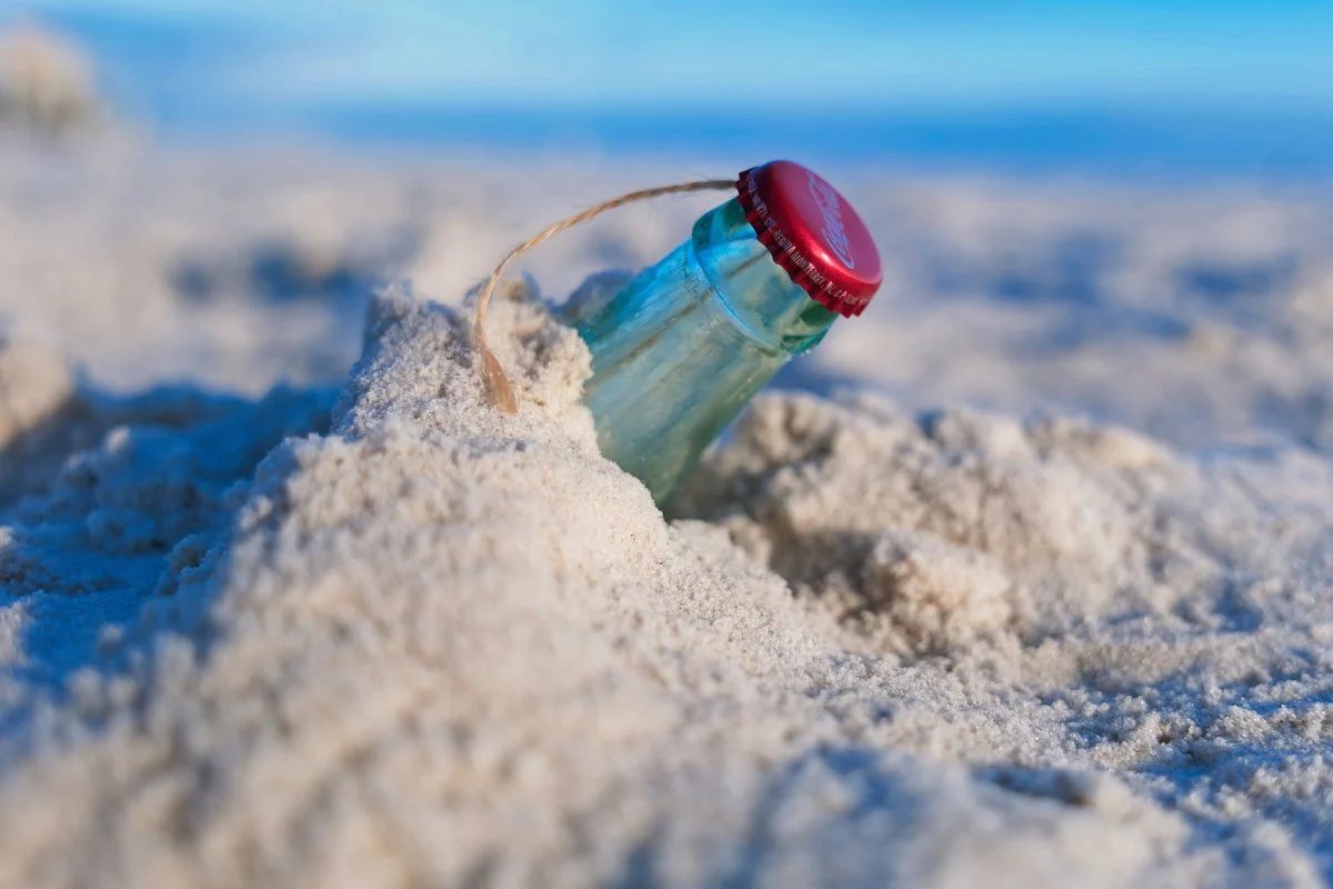 283 gulf shores suprise proposal.JPEG