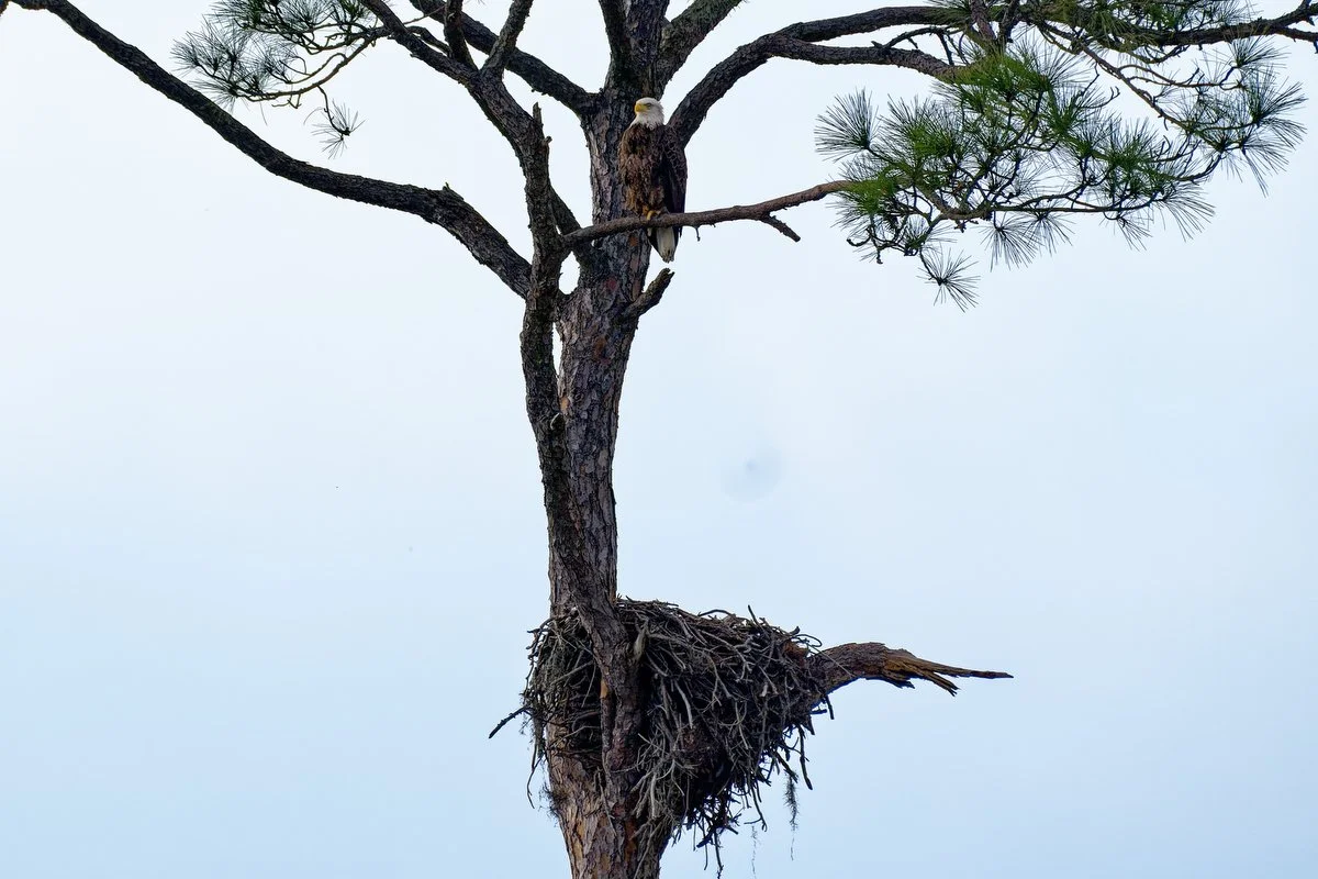 003 orange beach photography .JPG