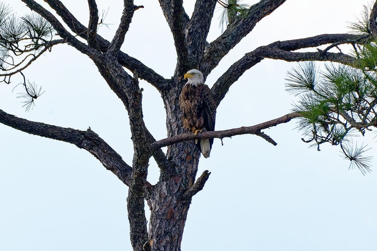 004 orange beach photography .JPG