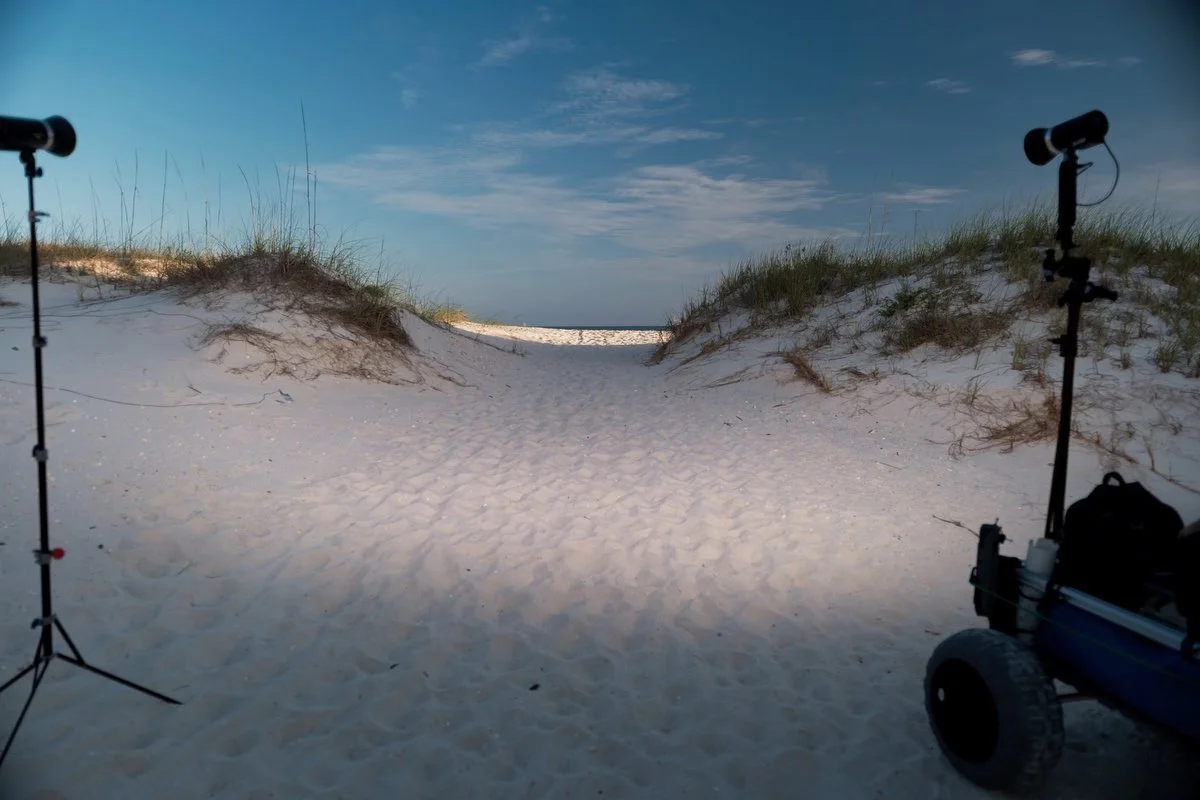 510 fort morgan photographer .JPEG