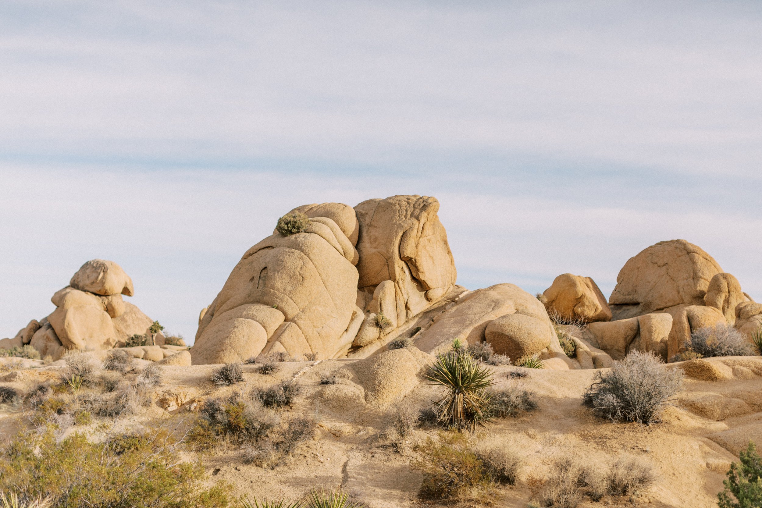 joshua-tree-elopement-photographer-13.jpg