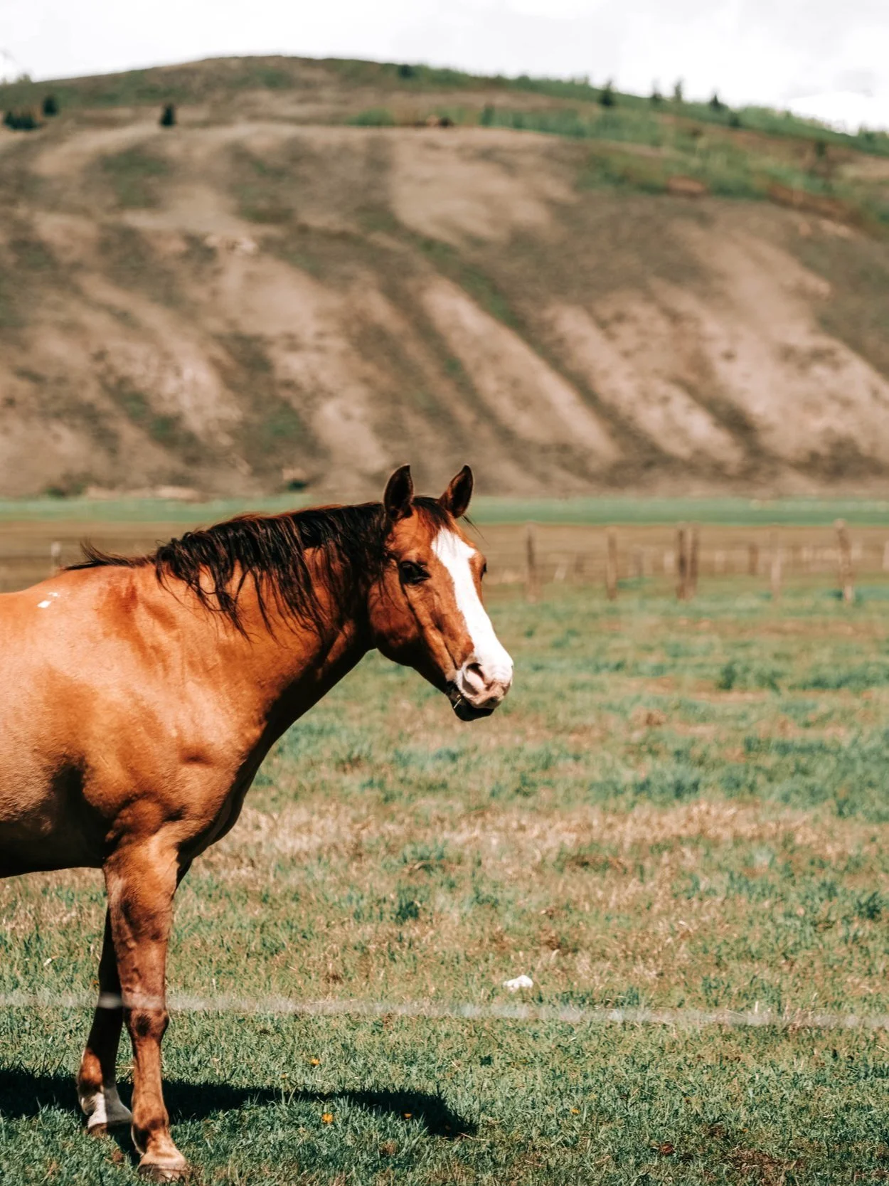 Editorial Photograph Jackson Hole Glenna Haug