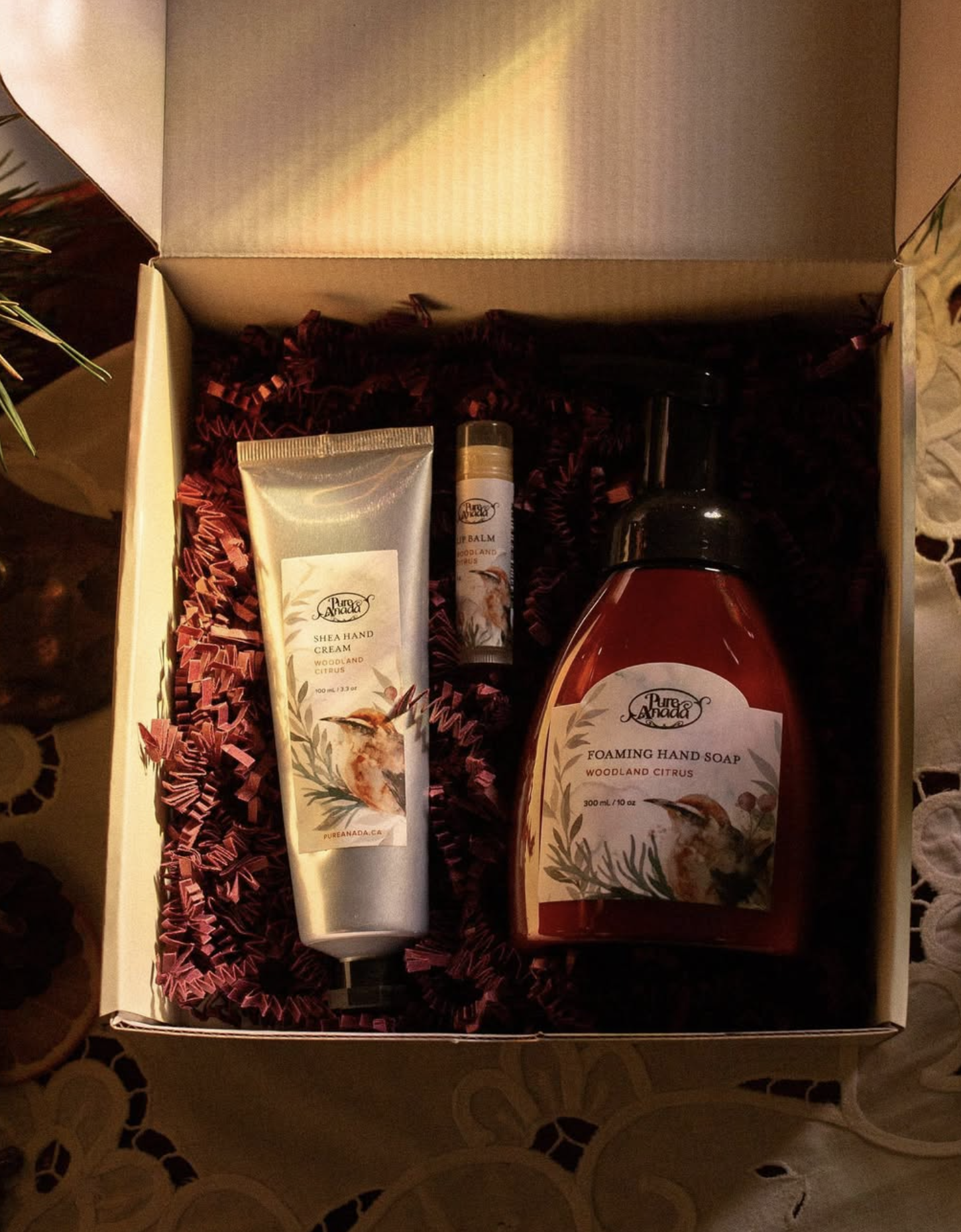 Screenshot 2025-12-04 at 11.00.13 AM.png