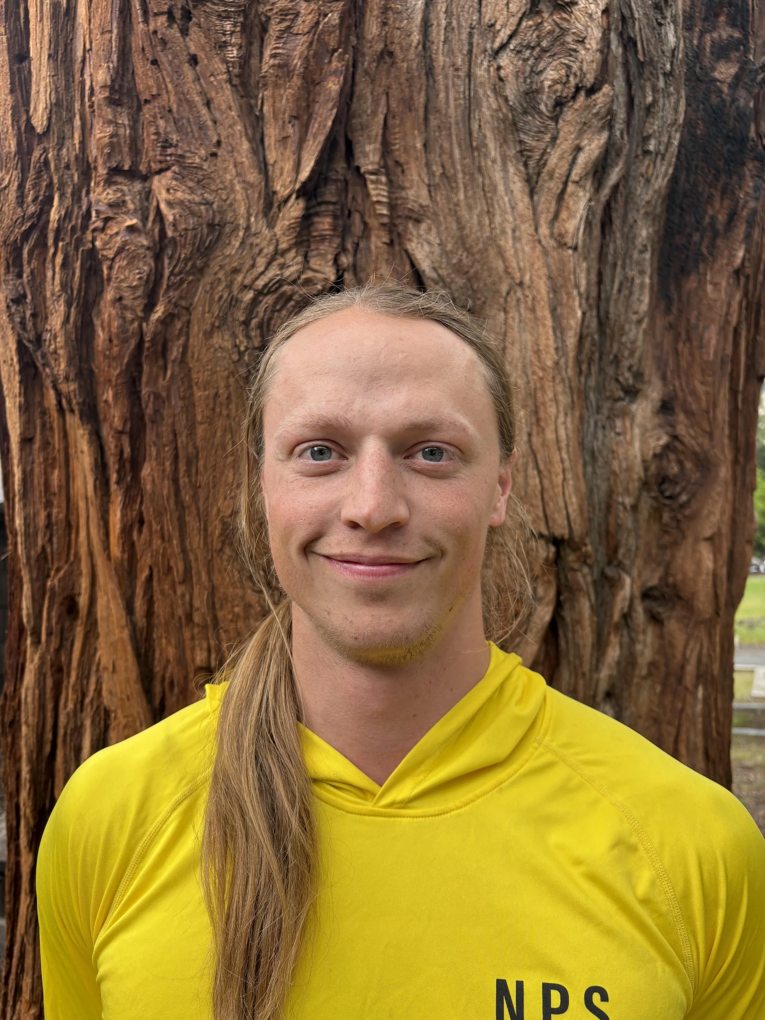 Brian Ludovici