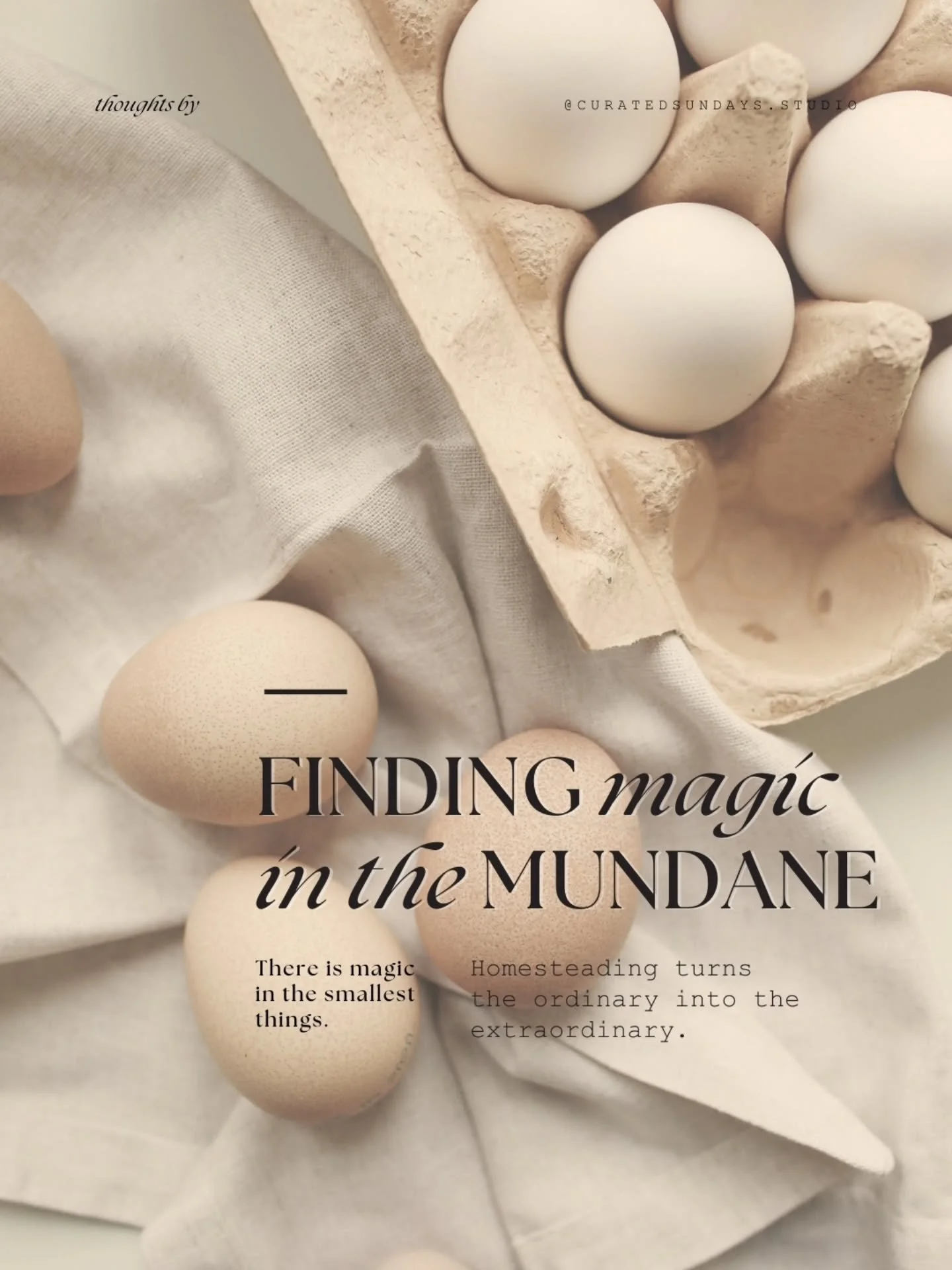 A simple stretch of soil, a beam of sunlight filtering through the trees, or the slow rhythm of watering and digging&mdash;these small, everyday acts hold more wonder than we often notice.

Clearing a tangled corner of the yard, planting a tiny seedl