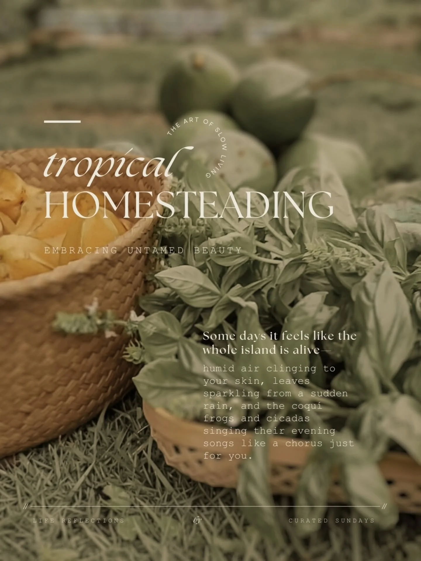 Tropical homesteading is about living in harmony with the rhythms of sun, rain, and soil. It&rsquo;s tending gardens that grow year-round, harvesting fruits and herbs at their peak, and finding joy in small, daily rituals.

Some days it feels like th