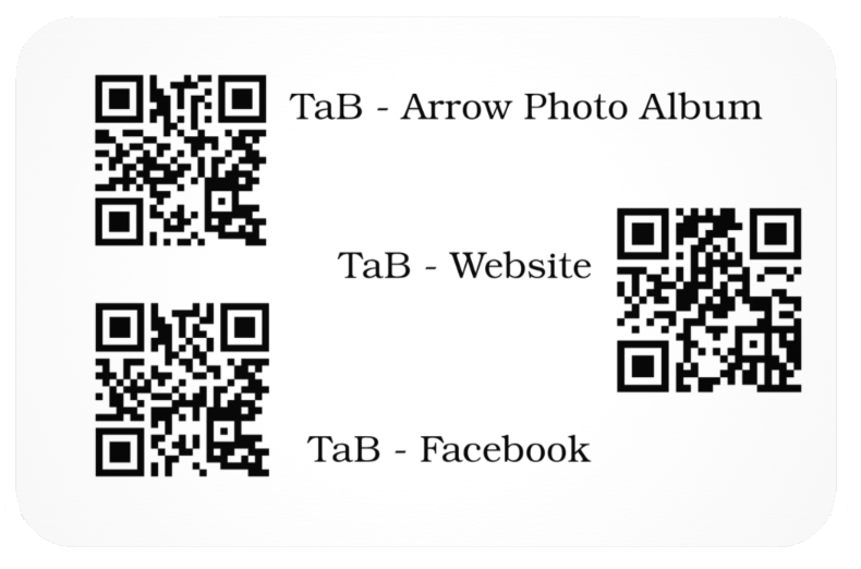 Field and 3D Wooden Arrow Set