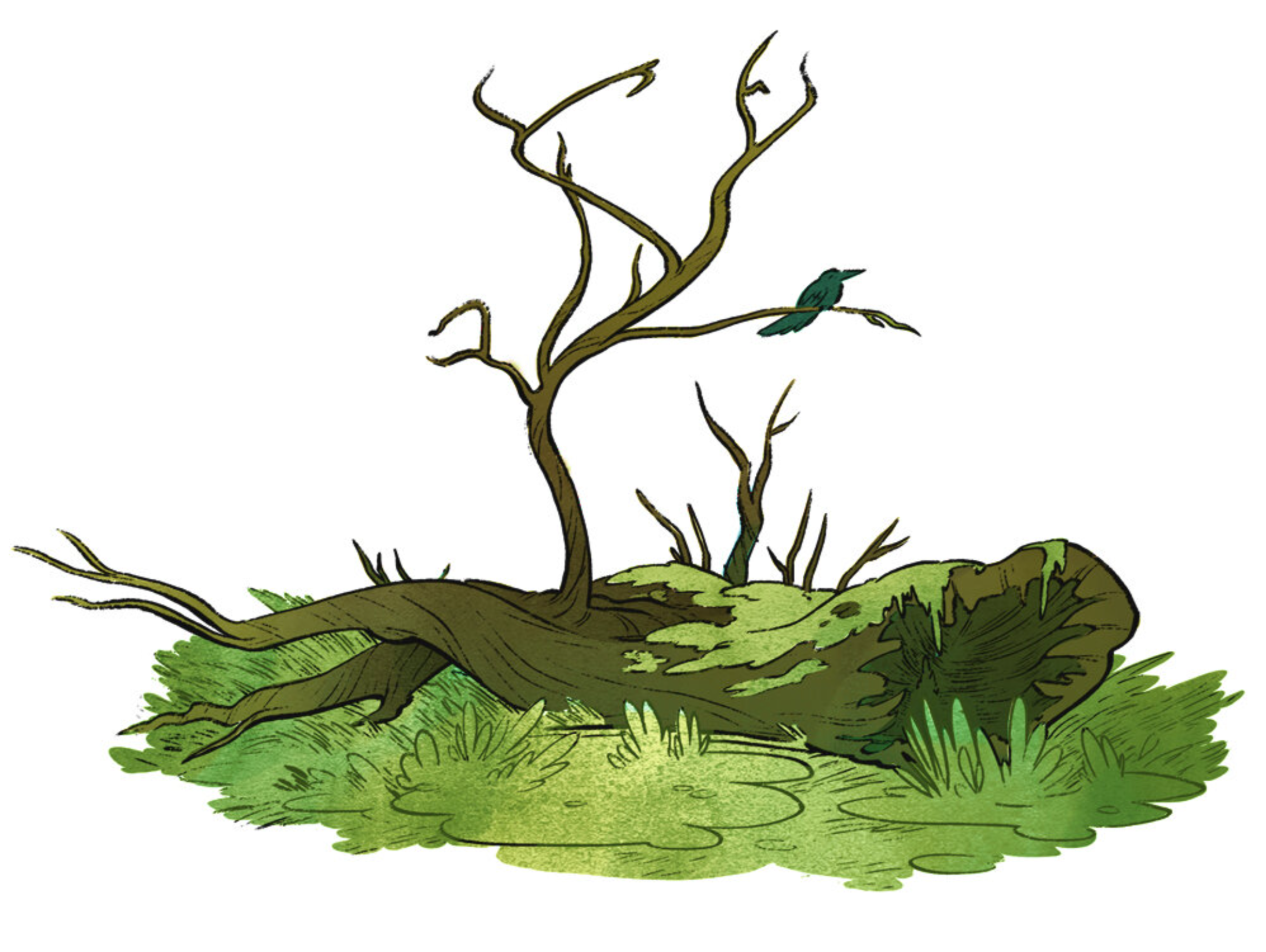 bird on tree_spot.PNG