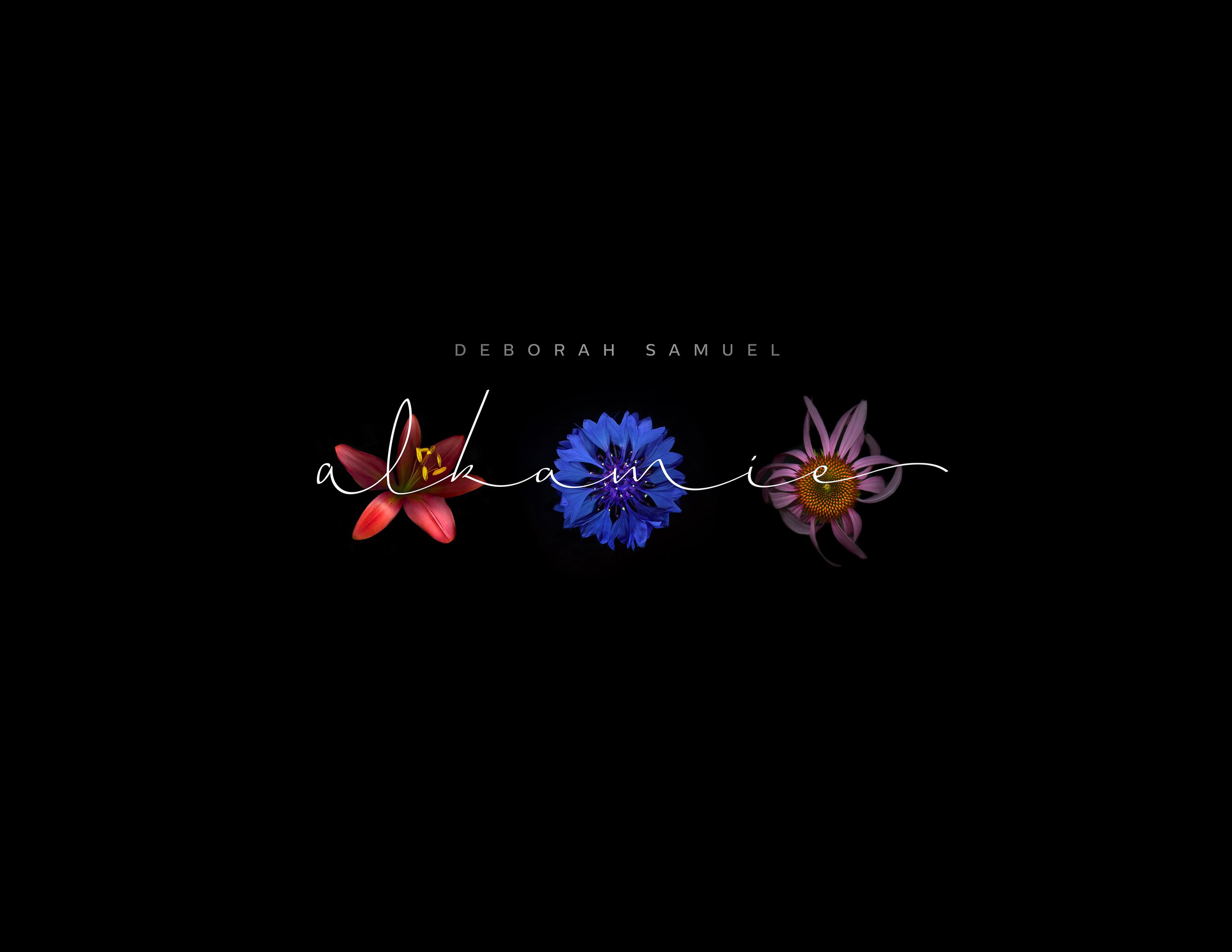 1.Alkamie.Final.8.5x11 file.JPG