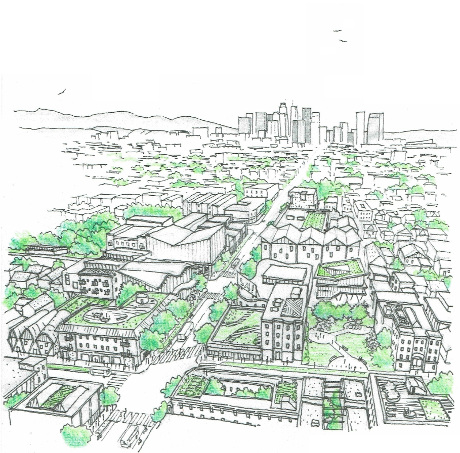 CITY OF LOS ANGELES NEIGHBORHOOD COUNCIL CENSUS DATA ANALYSIS