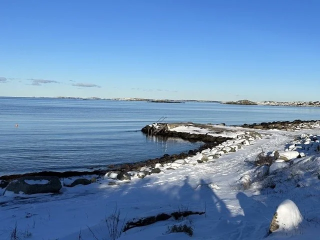 Promenadcoaching i fin miljö