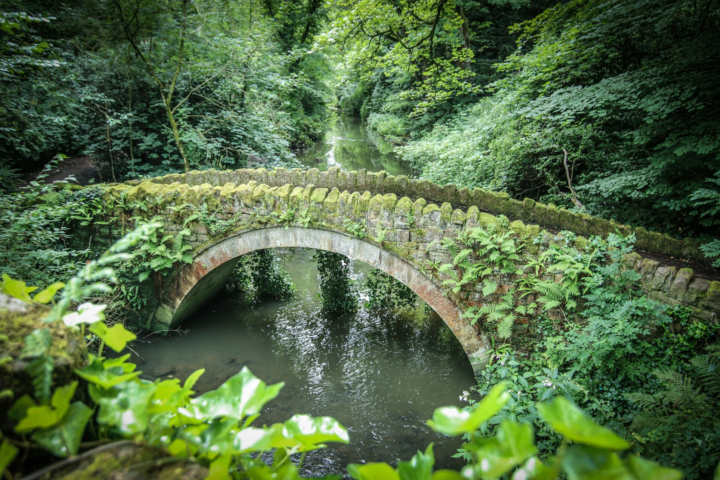 A small stone bridge over a stream in a lush green forest.
