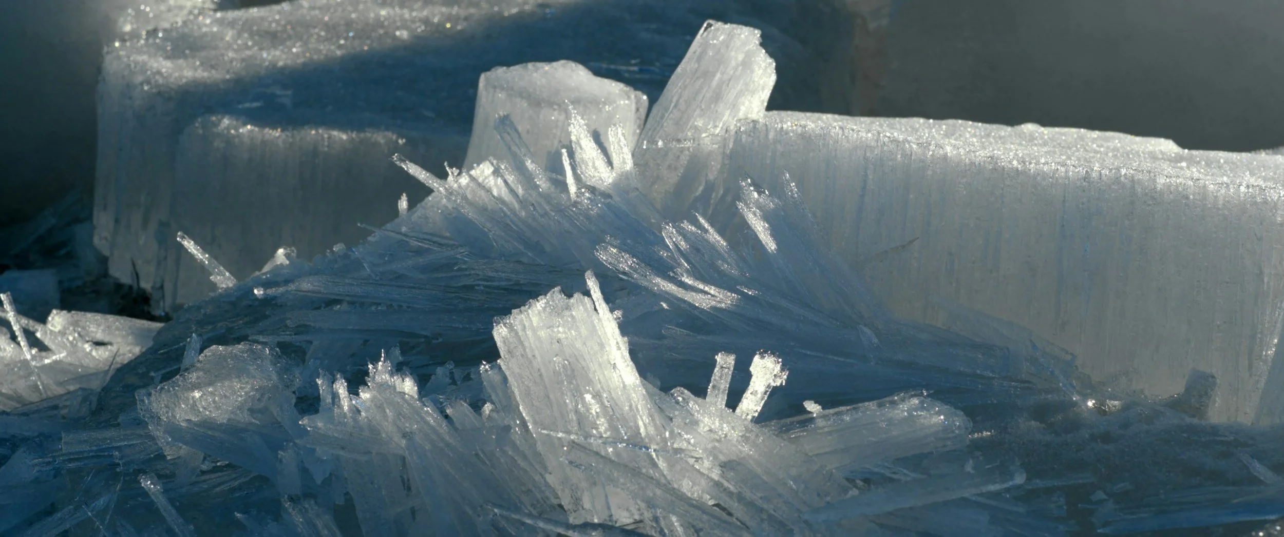 Selenite as Ally: Energy Hygiene for Empaths &amp; Sensitive Souls