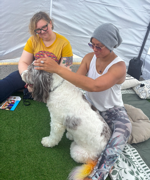 Two women sitting on a blanket inside a tent, with one petting a large, fluffy dog with a merle coat pattern.