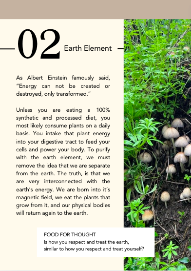 Purifying With The Elements Earth.png