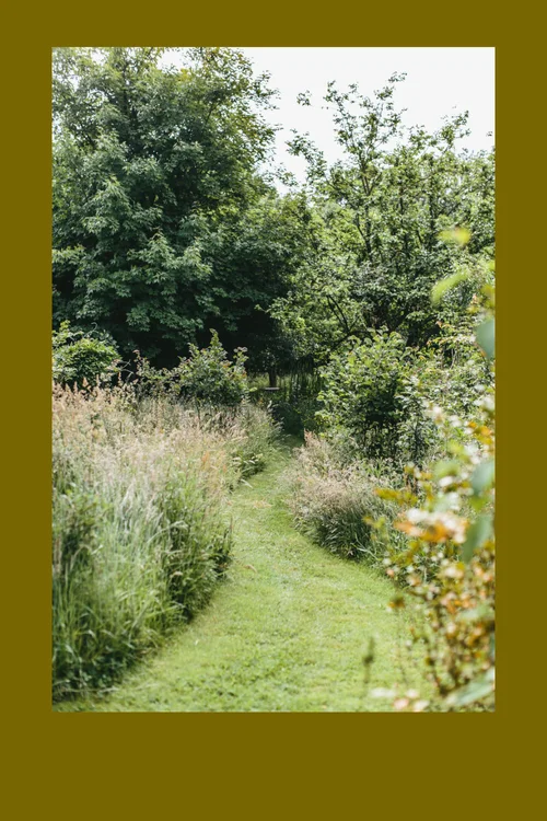 🌲Outdoor Wedding on a Budget 💰💵[3 Budget Outdoor Wedding Tips] — Elope