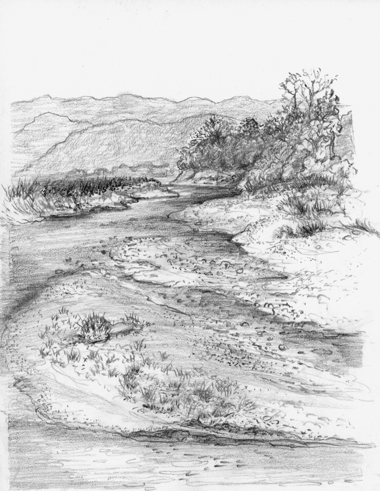   Chitwan Nepal Rapti River  2013 Pencil on paper 6.5x5 inches 