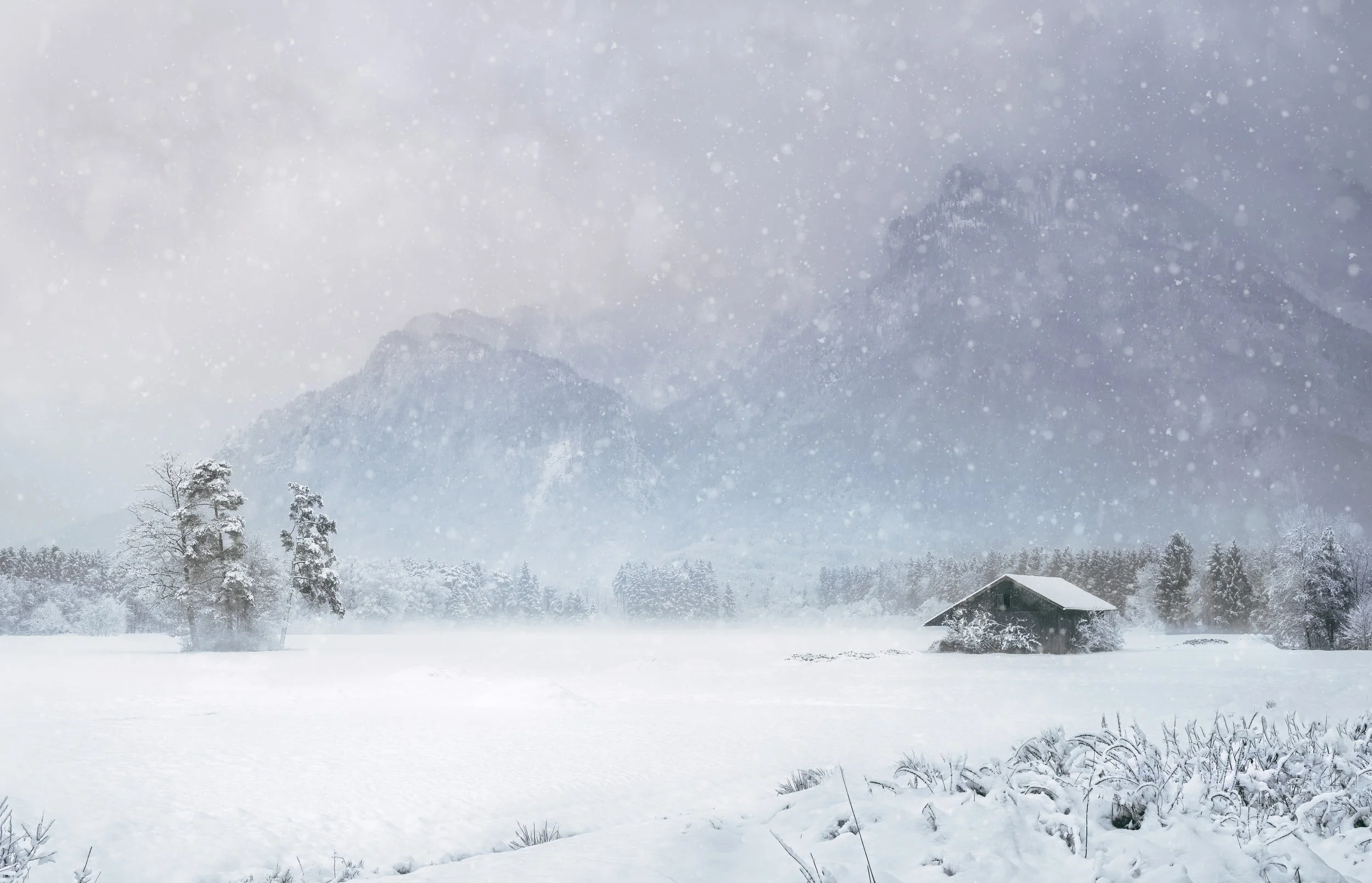 Friday Recap:  January 14, 2022
