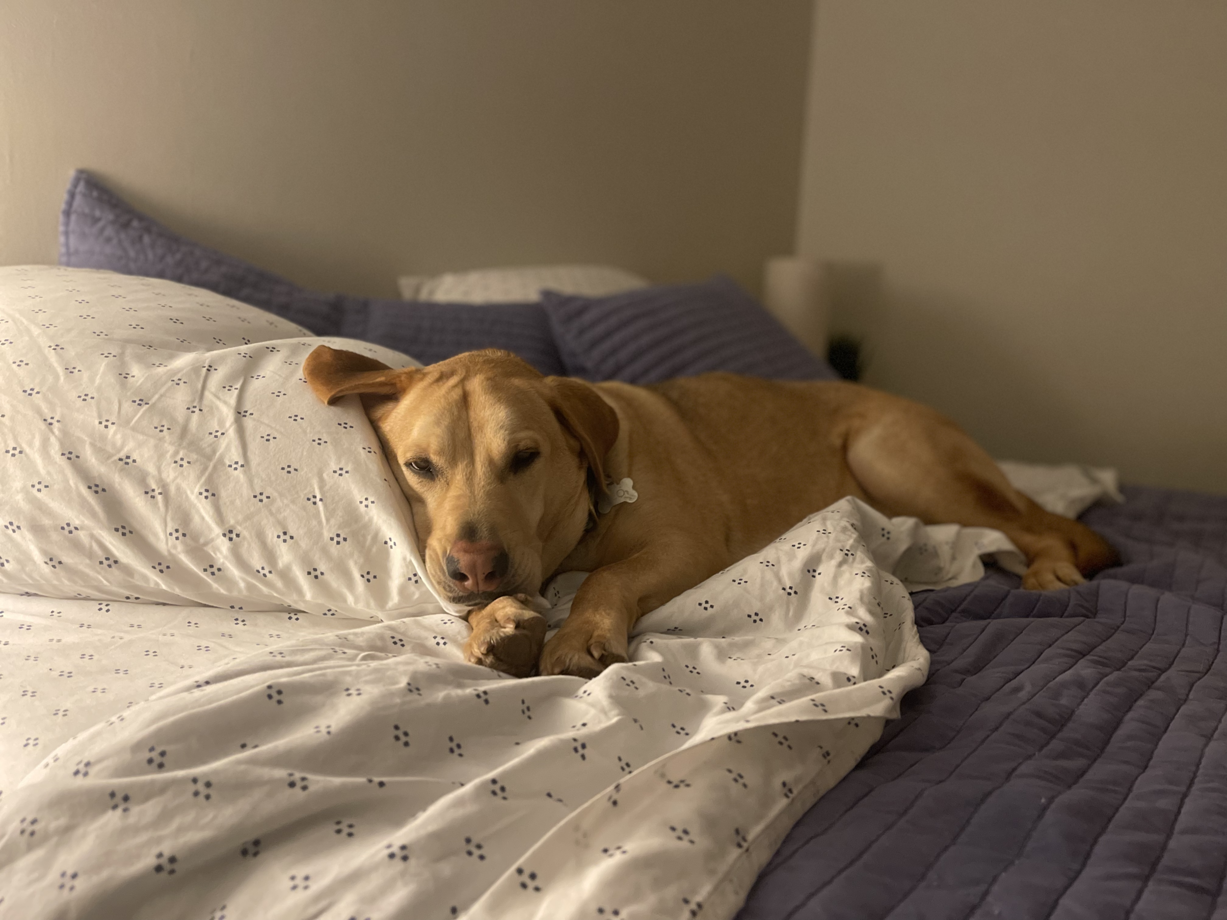 Repeating Patterns (and not giving myself enough credit)