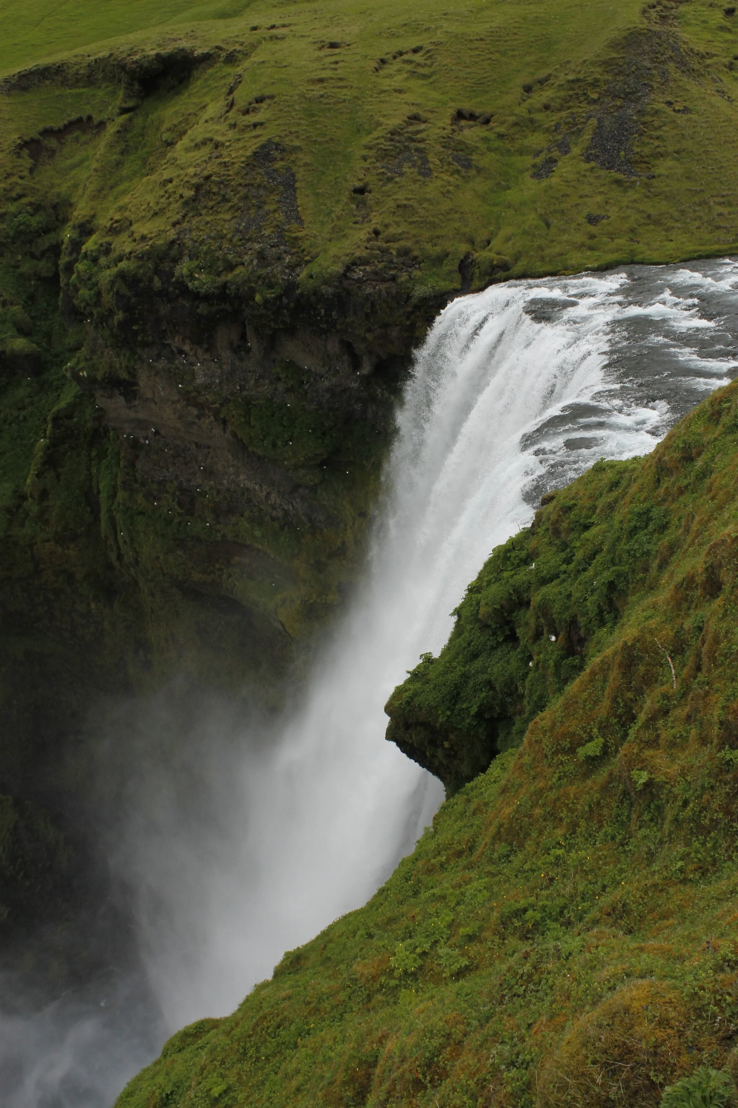 _MG_6015.jpg