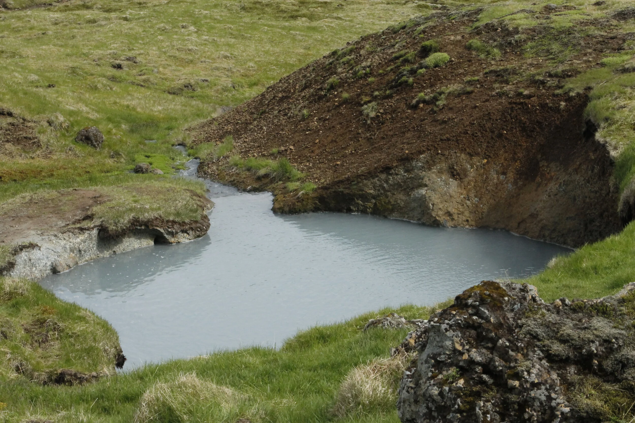 _MG_4580.JPG
