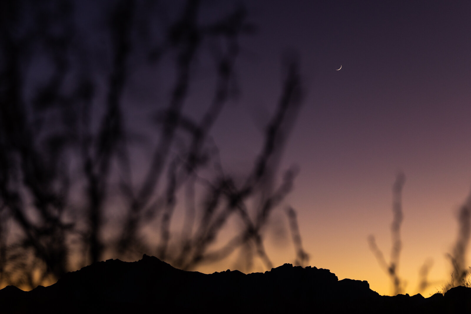  Peepin’ the crescent moon at dusk.  