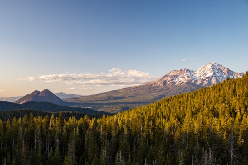 emily-sierra-california-mount-shasta-3.jpeg