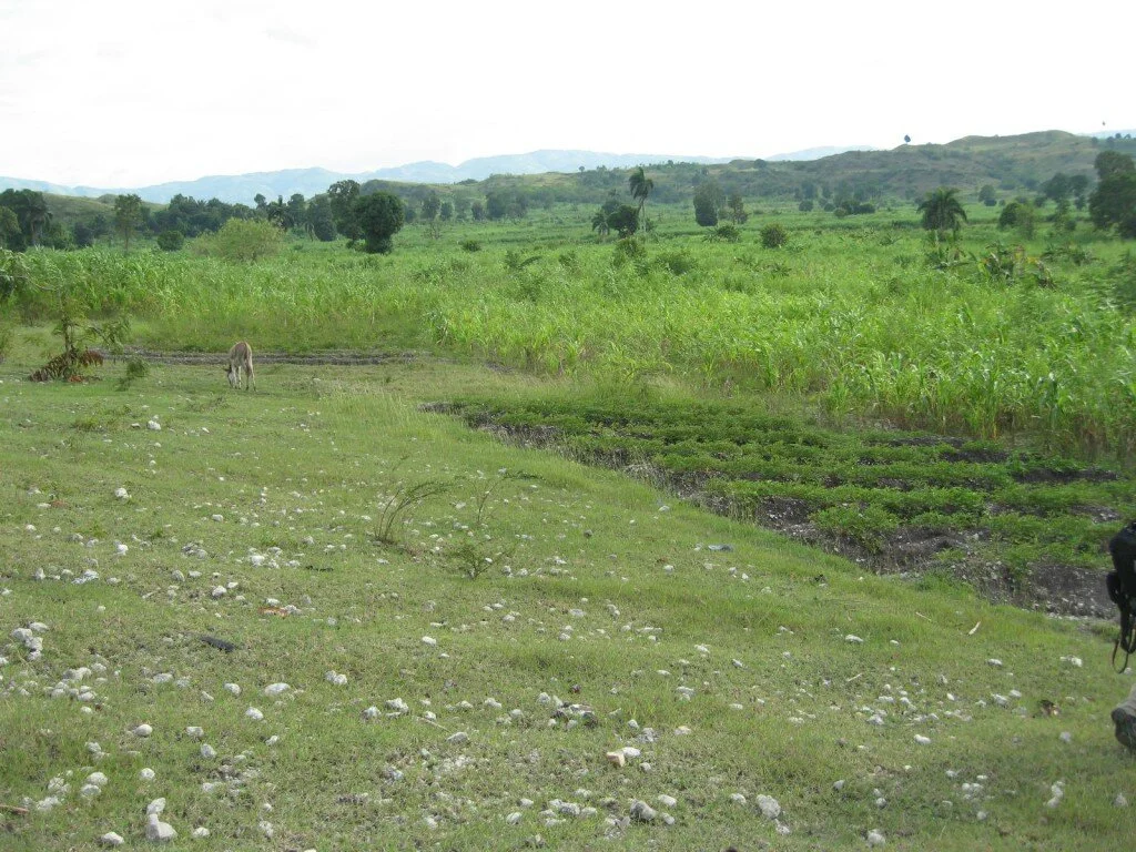 Before the hospital…