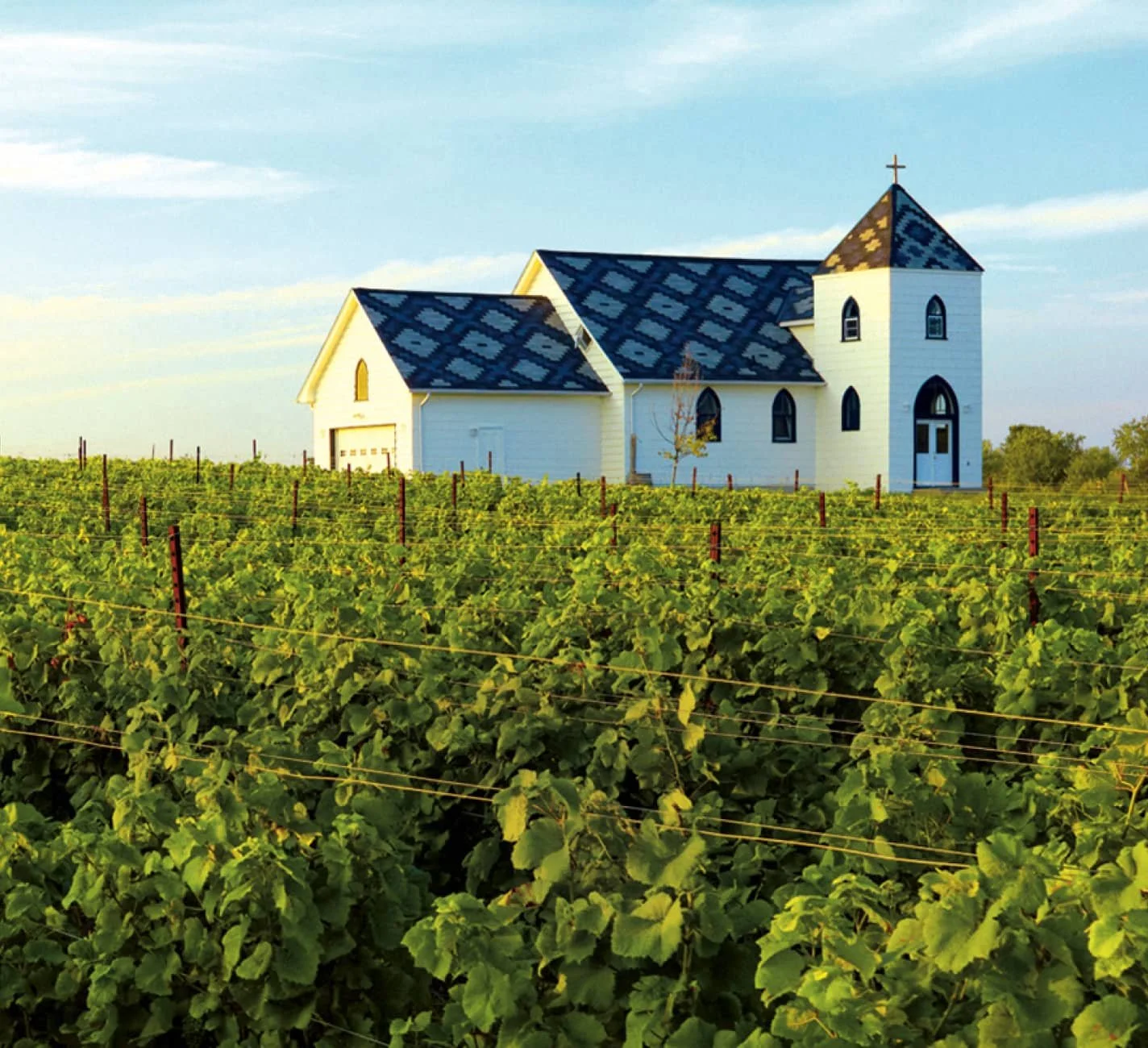 PEC wine industry at a crossroads