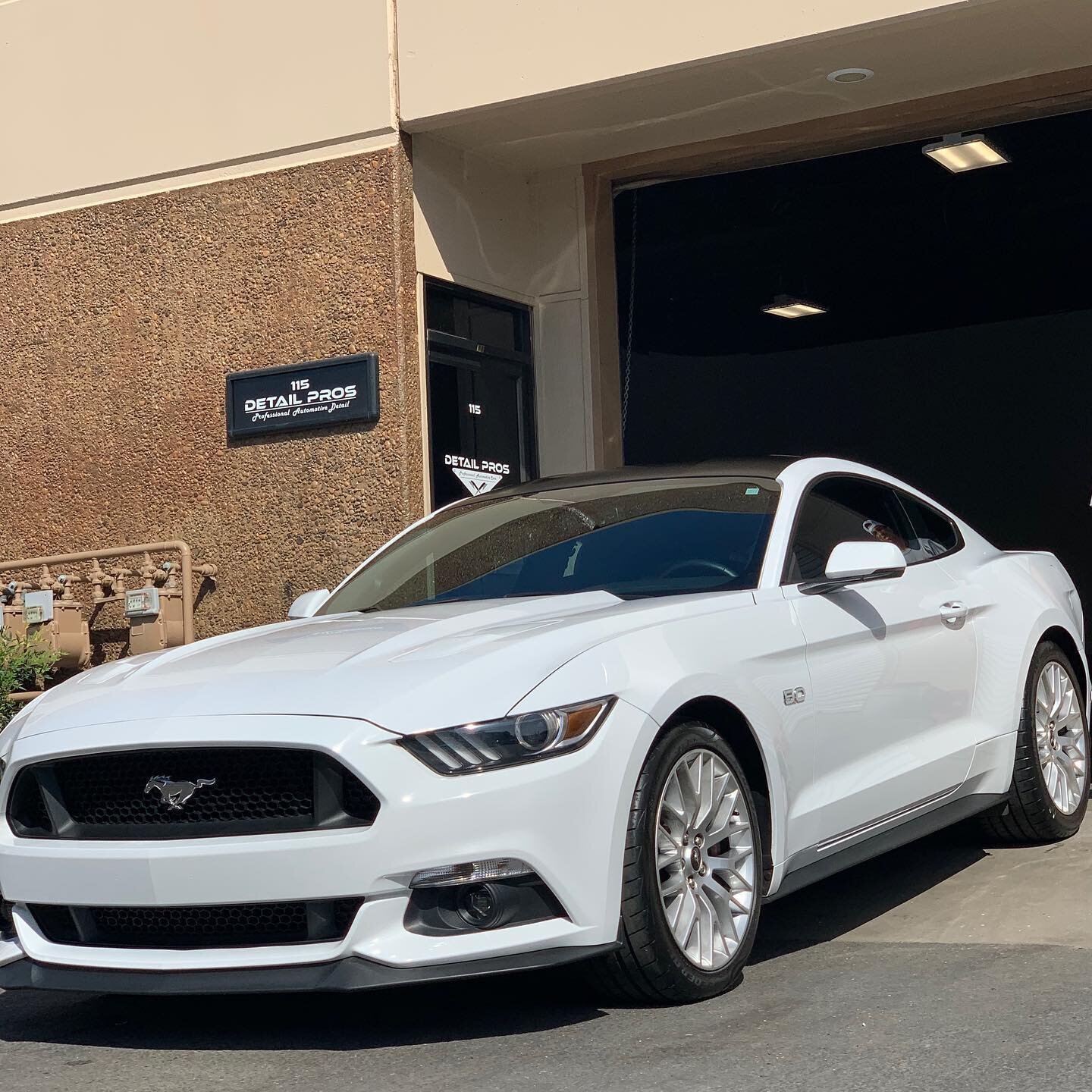 Roof wrap + ceramic coating on this 5.0! #ford #mustang #50 #detailing #vinylwrap #ceramiccoating