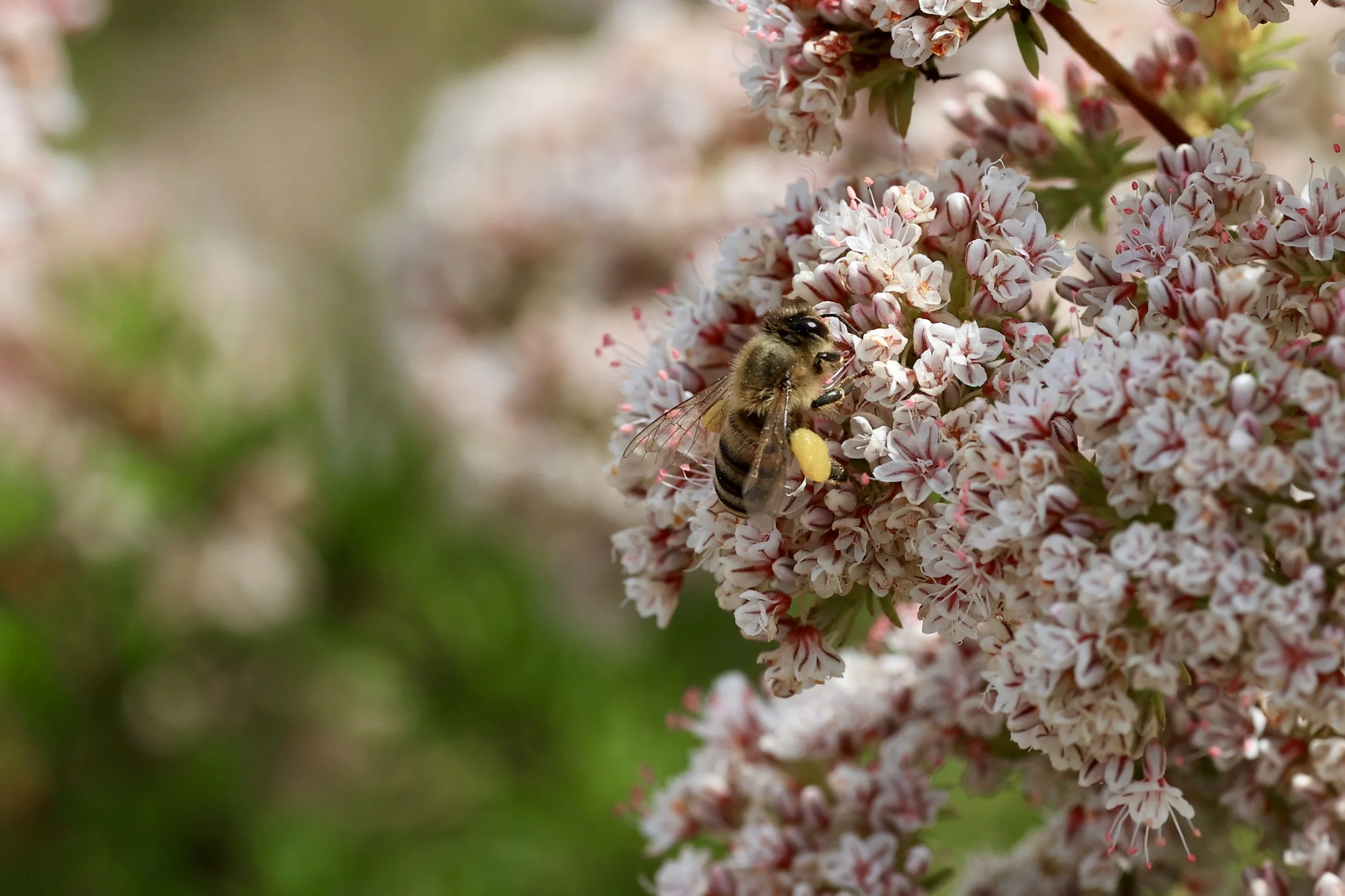 R6046514.jpg