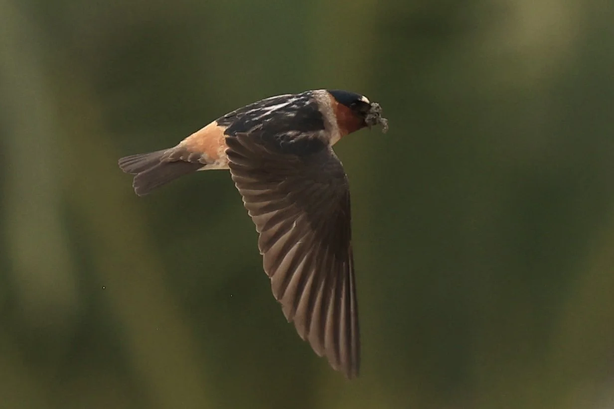 R6045143.jpg