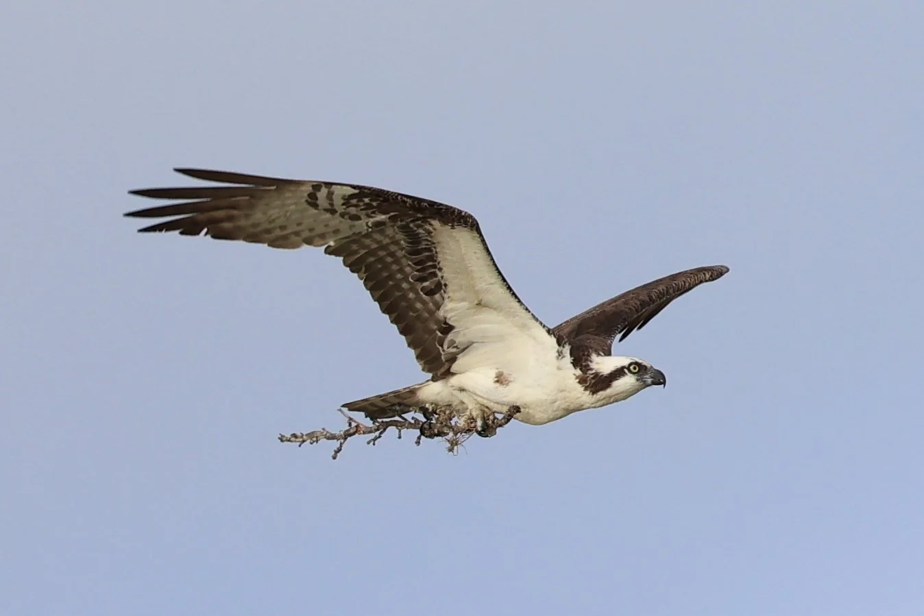 R6045926.jpg