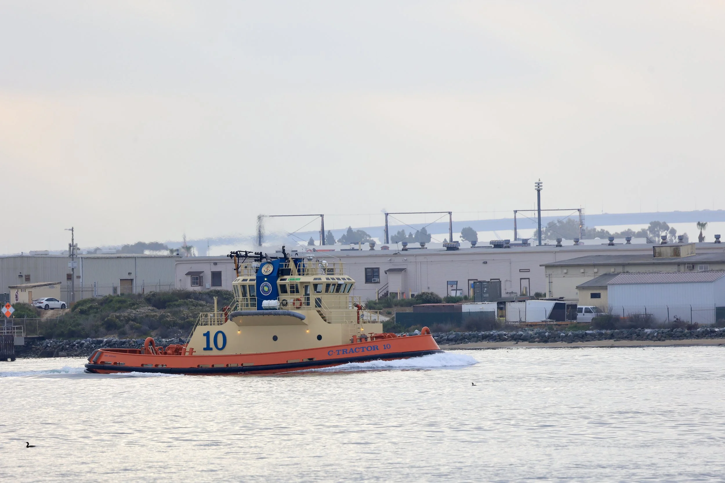 R6045245.jpg