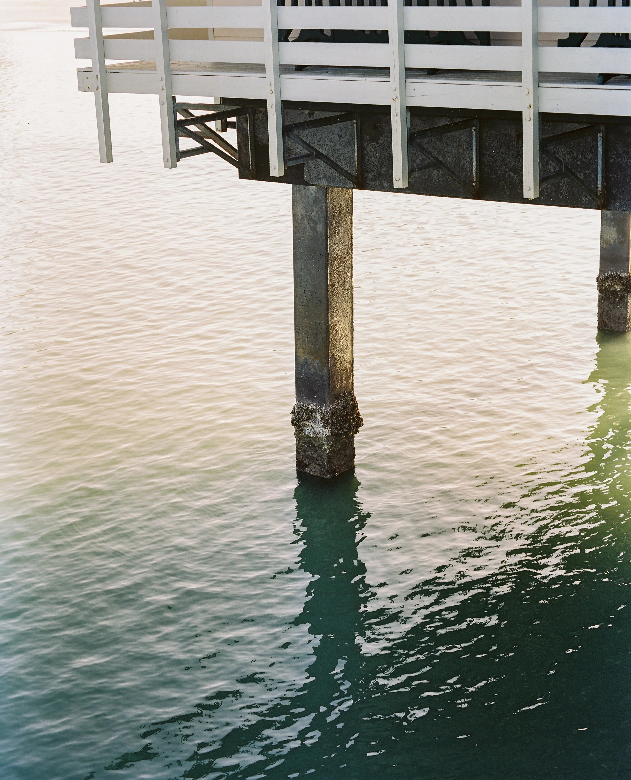 sbf--6.jpg
